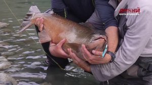 Рыбалка без границ. Чили