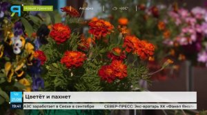 В Новом Уренгое подводят итоги конкурса «Мой город — мой дом»