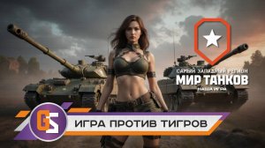 Мир танков!  Штурм-тигр. Нужен ли собственно этот танк?