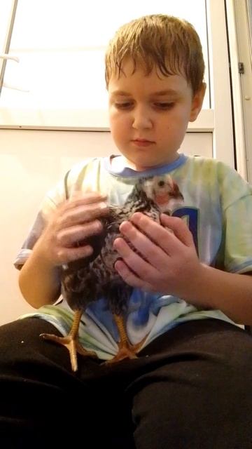 видео для уголька🐧