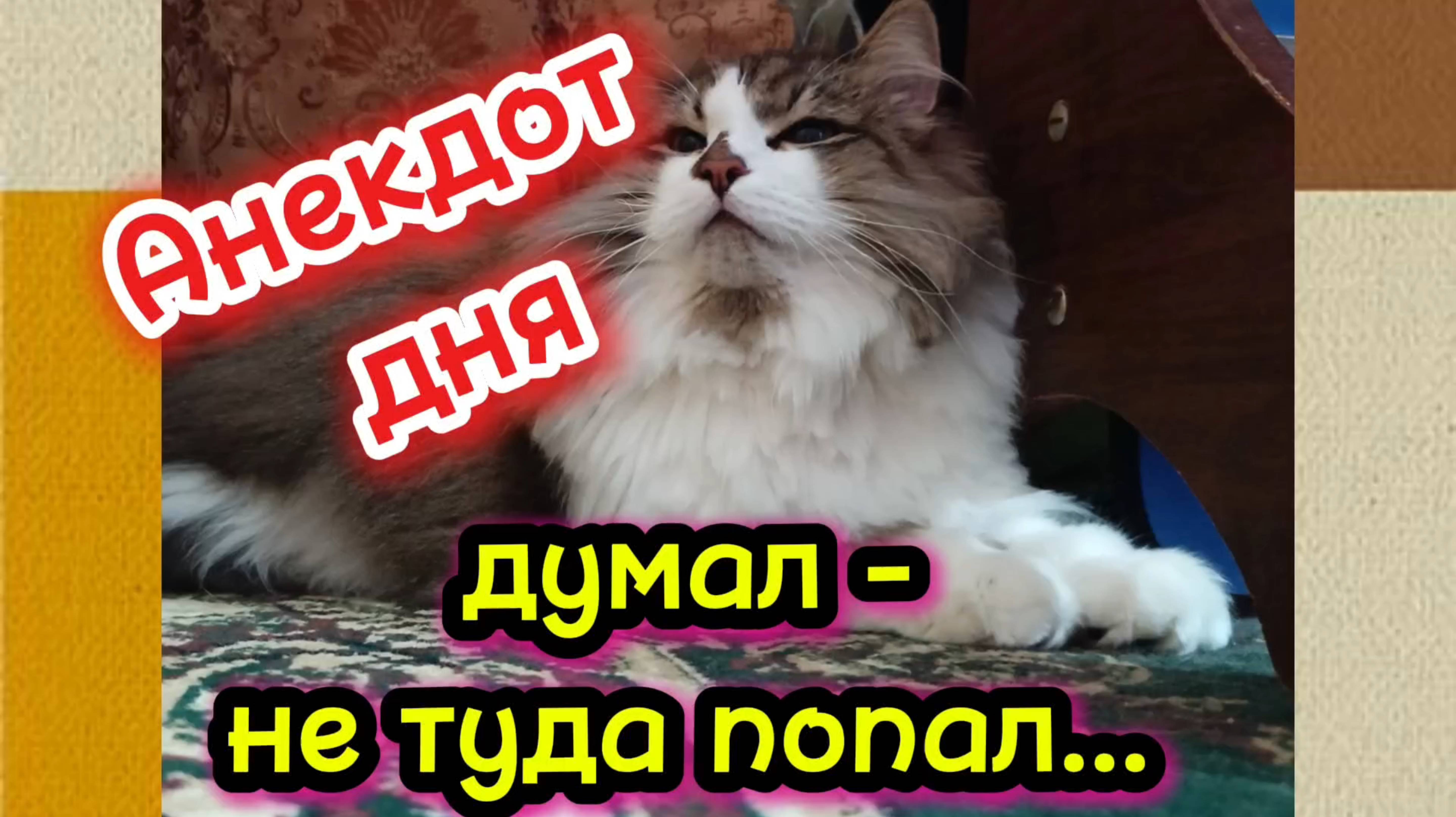Анекдот дня про пьяного мужа.