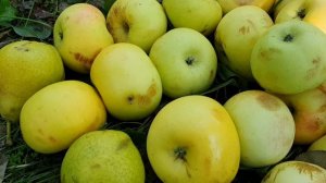 Привет, девчонки!