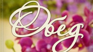 Мой сегодняшний обед