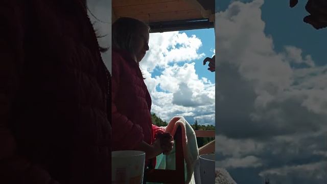 лмьи