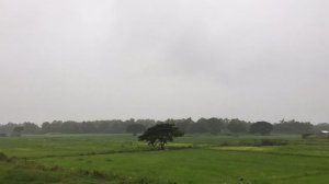 сильный ветер