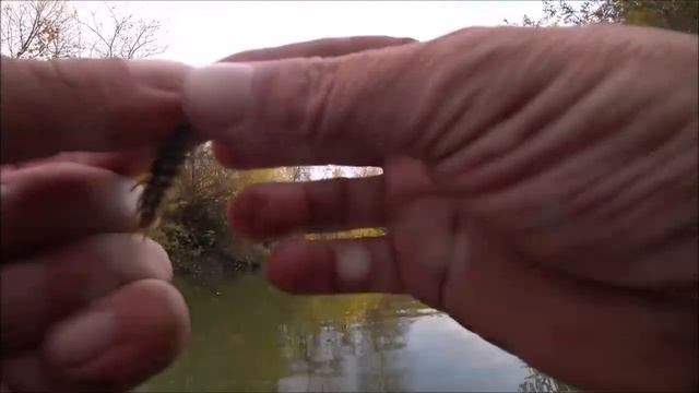 МИКРОДЖИГ В ЗАБРОДКУ