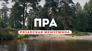 🌊 SUP-маршрут по реке Пра - сосны, песчаные пляжи и чистейшая вода