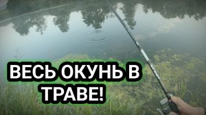 Ловля окуня на спиннинг в траве! Окунь любит блесну вертушку! Именно эта приманка ловит окуней летом