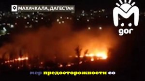 Mash Gor: в Дагестане произошел пожар в Эльтавском лесу