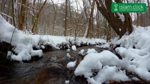 Мурджииты - противоположная группа хариджитам. Пользы из Шарх Ас-Сунна. Абу Яхья Крымский