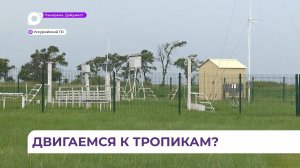 Метеорологи рассказали об изменении климата в Приморье