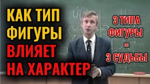 Психология телосложения: Какая связь между фигурой человека и его характером
