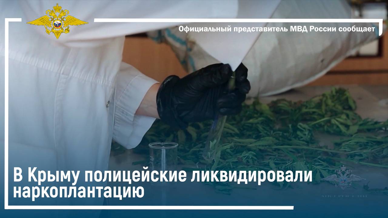 В Крыму полицейские ликвидировали наркоплантацию