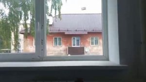 1 комнатная г. Рошаль, ул. Мира д. 19а кв. 8