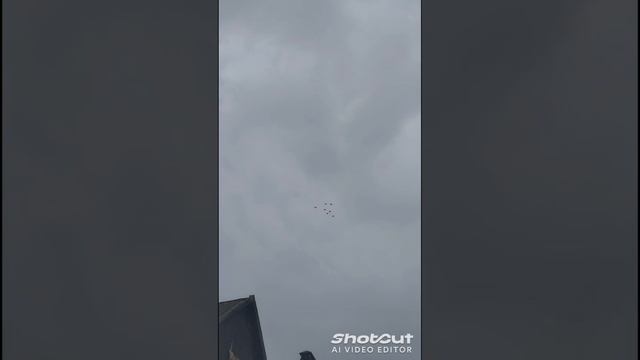 г. Мариупольские. голуби 😉 смотреть онлайн