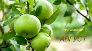 "Август" Стихи Ирины Снеговой.