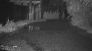 MOV00009