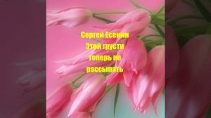 Сергей Есенин Этой грусти теперь не рассыпать