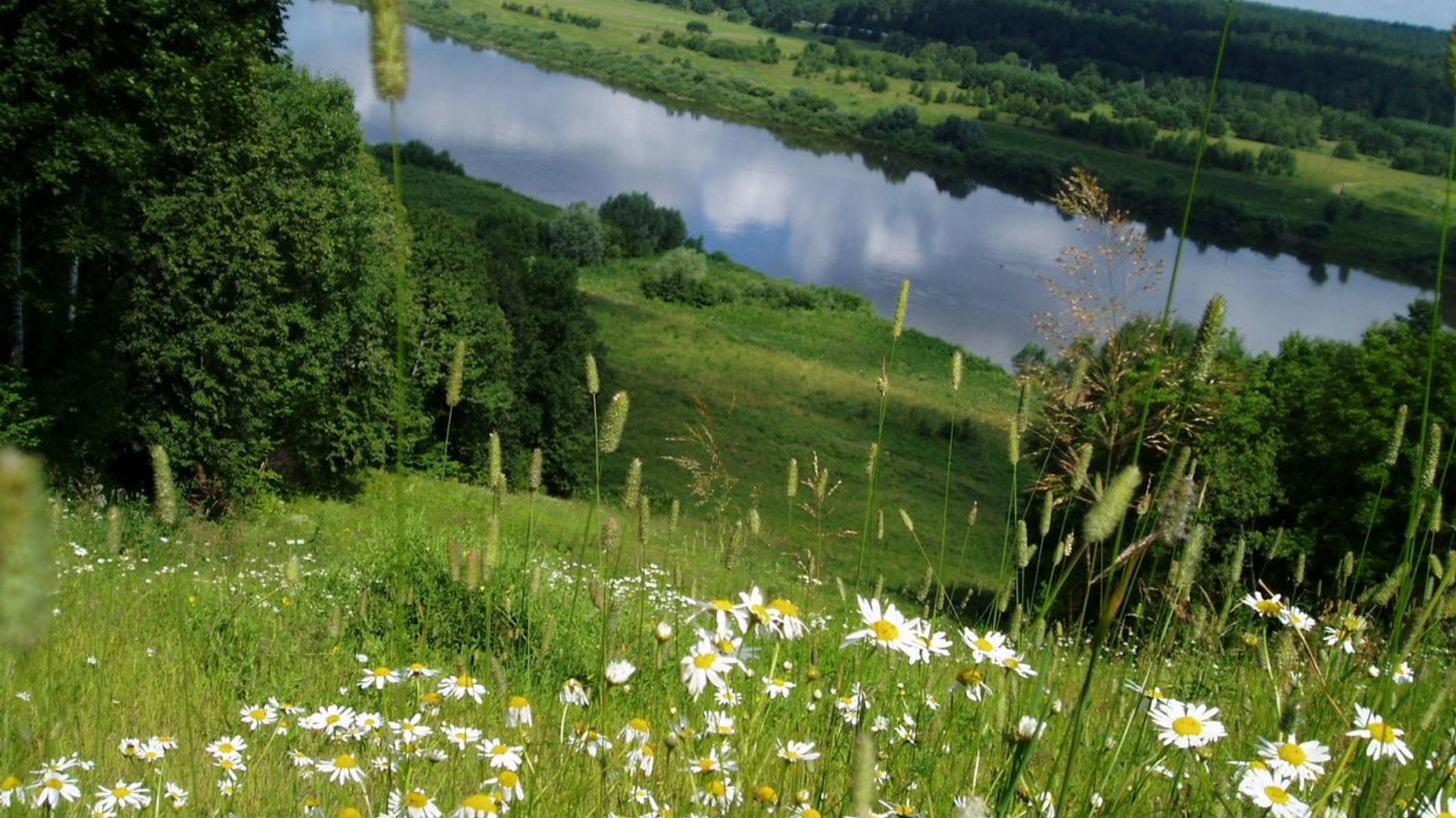 ВОТ И ЛЕТО ПРОШЛО смотреть онлайн