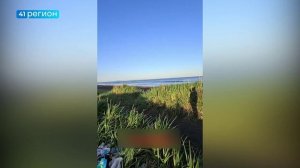 КУЧУ МУСОРА НА ХАЛАКТЫРСКОМ ПЛЯЖЕ ОБНАРУЖИЛА ЖИТЕЛЬНИЦА КАМЧАТКИ • БЕЗ КОММЕНТАРИЕВ