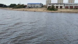 окунь давит малька