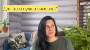 Что такое зимовка у комнатных растений.