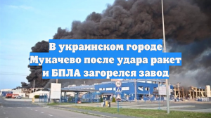 В украинском городе Мукачево после удара ракет и БПЛА загорелся завод