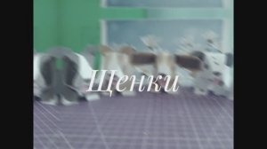 Щенки из бумаги своими руками.