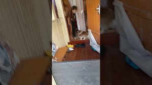 ушли с сестрой троюродной за хлебом