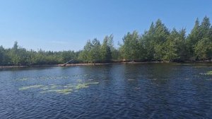 Карелия (Чёлмужи) июль 2025