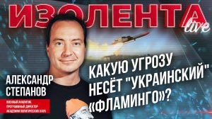 Какую угрозу несёт "украинский" «Фламинго»? | Александр Степанов