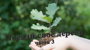 2019.04.15 Посади своё дерево часть 3 с Новоалейское, с Староалейское