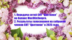 1. Передача электрохозяйства на баланс МосОблЭнерго. 2. Голосование 2025