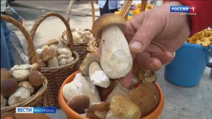 Грибы в лесах дразнят костромичей партизанскими вылазками