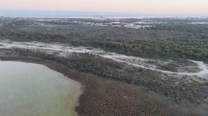 Frozen Stillness | Lake Cooloongup. 4K. Australia. #дрон #DJI #кинематографично #пейзажи