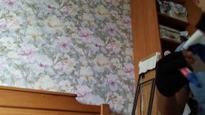 VID_20250821_142353.mp4