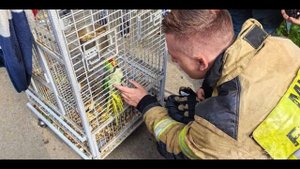 Марина Урусова. Армагеддон в миниатюре