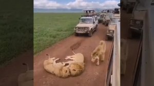 И пусть весь мир подождет👍