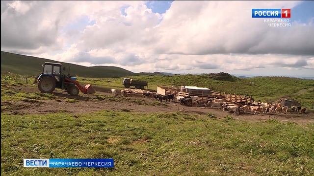 Глава КЧР: в 2025 году на поддержку сельхозпроизводителей выделяется около 1 миллиарда рублей