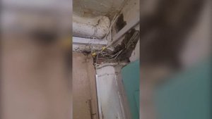 (20.08.2025) Подъезд одного из домов Комсомольска топят дождевые воды