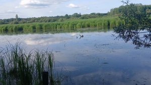 Поездка на озеро за карасем.