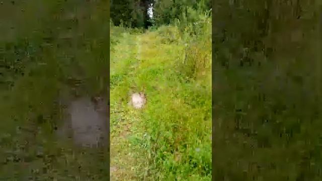 21-08-2025 смотреть онлайн