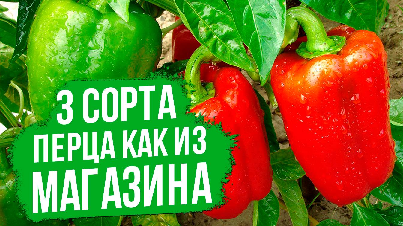 Сладкие перцы как из магазина - легко и доступно!