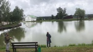 ещё одна рыбка в подсаке