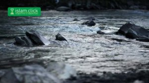 Человек берёт пример с других и утешается. Пользы из Сахиха Муслима. Абу Яхья Крымский