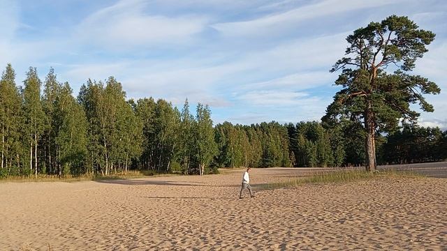 Реализация