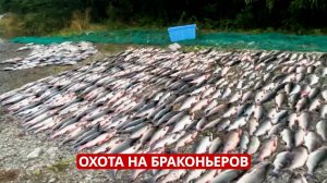 Битва за лосося: дроны и мобильные группы против браконьеров на Сахалине. На грани 20.08.25