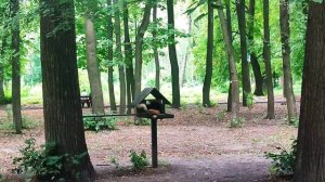 Что это вы тут положили?