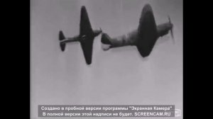 Павел. Товарищ.