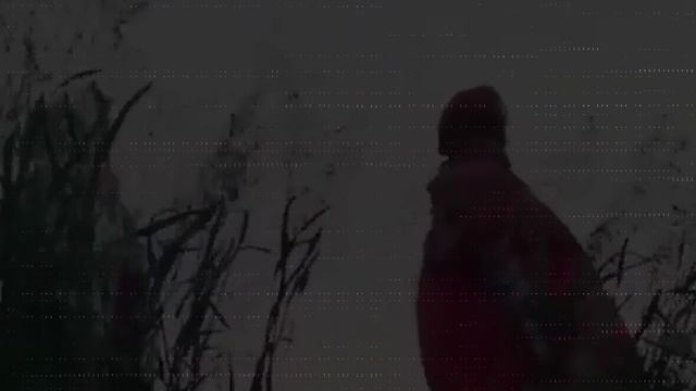 Видеоарт 